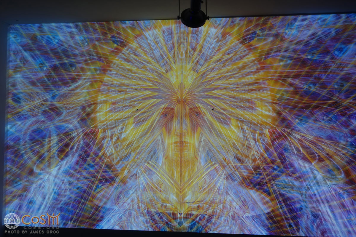 Visual Projections for Alex Grey
