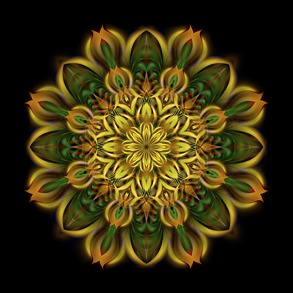 alien_sunflower_sm-copy